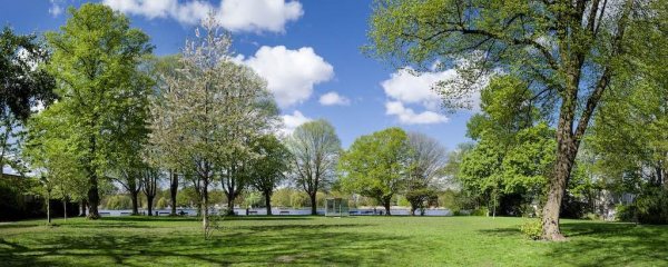 Alsterwiesen Schwankenwik